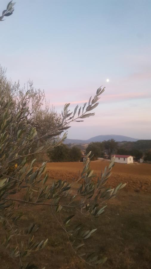 Agriturismo Villalta Ponte Felcino Экстерьер фото