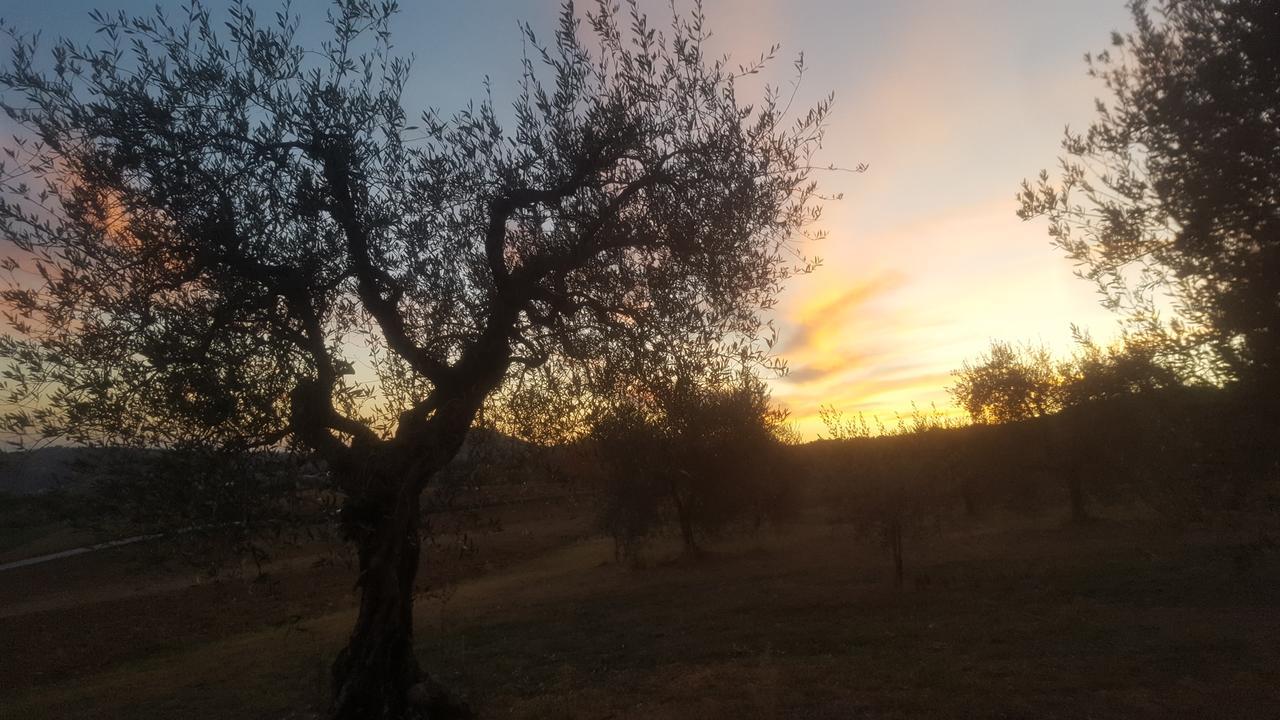 Agriturismo Villalta Ponte Felcino Экстерьер фото